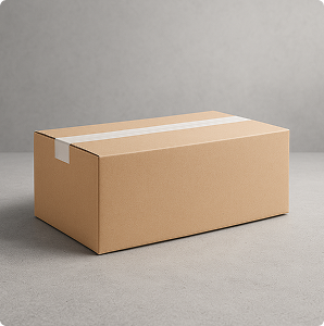 Karton Box Standar